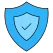 Shield Icon